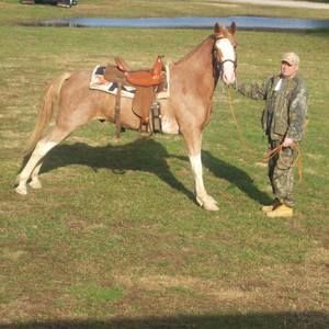 Meet your Posher, Bo